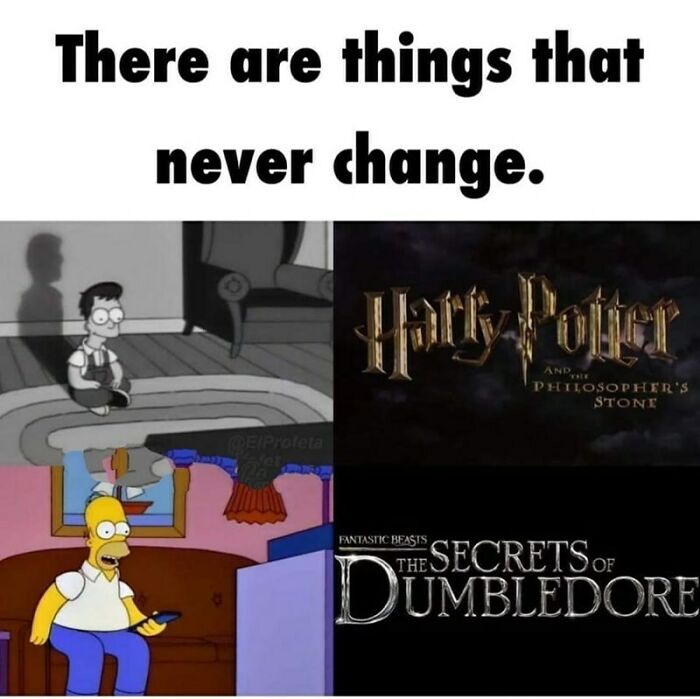 Who Thinks The HBO Series Will Flop?