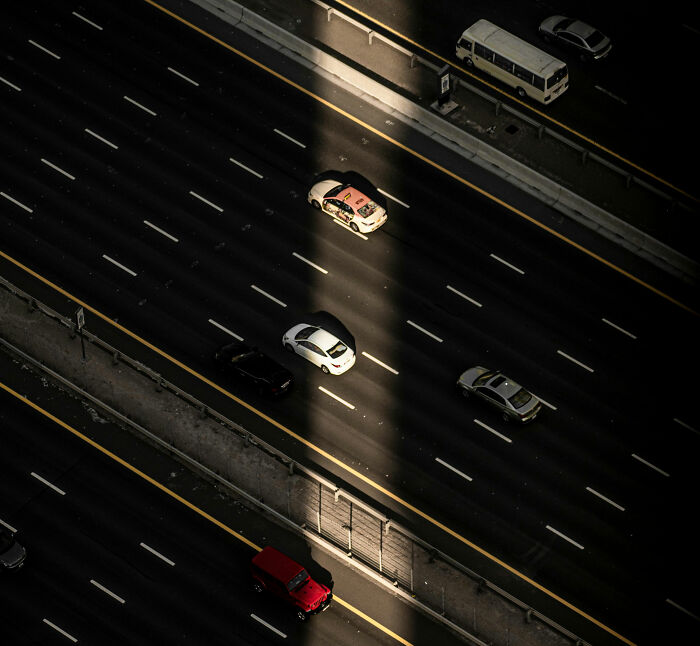 These Wild Stories Prove Our Gut Instincts Are Basically Superpowers