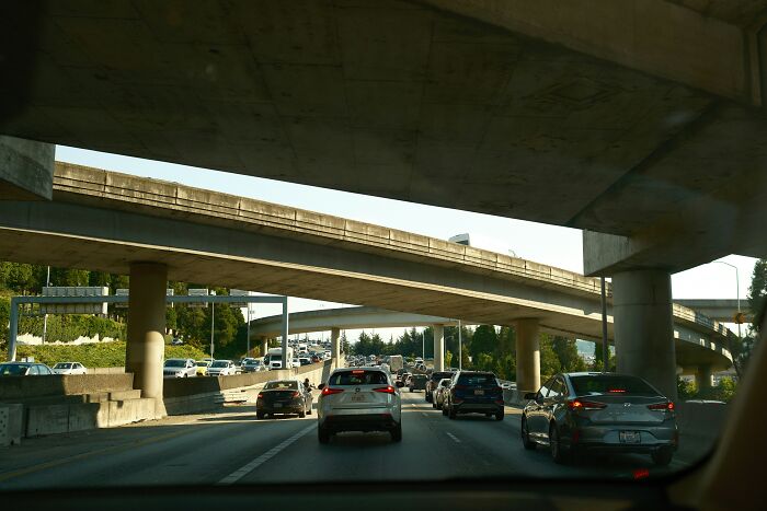 These Wild Stories Prove Our Gut Instincts Are Basically Superpowers