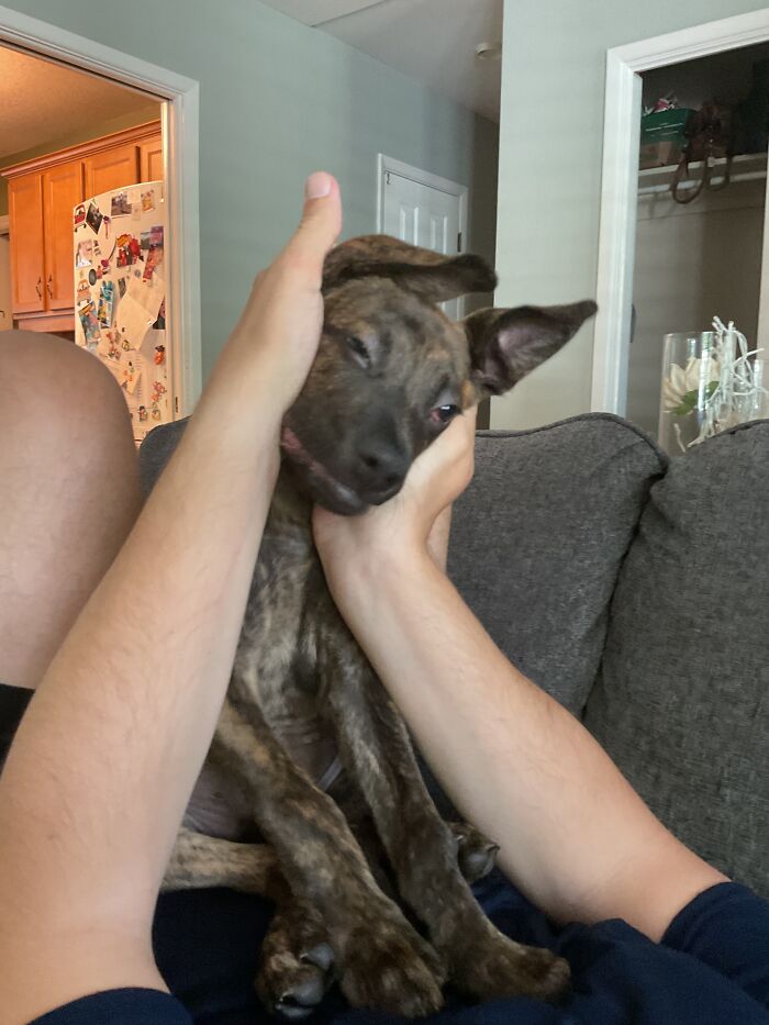 Crazy Eyes, Crazy Cute