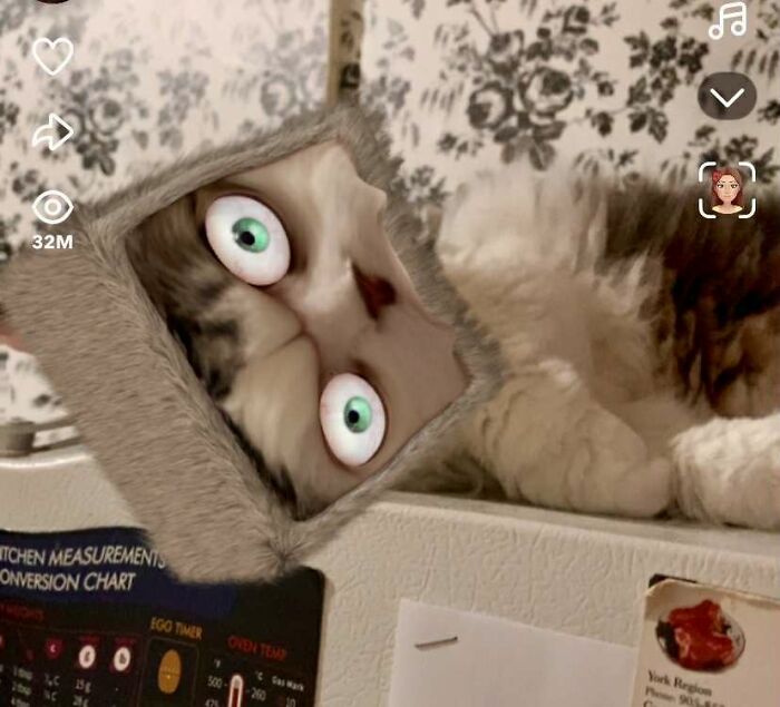 Pop-Eye Squarehead: The Goofy Gaze