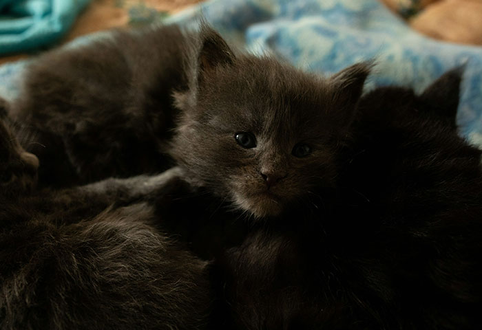 Wait, They Actually Told These Delivery Room Cheating Stories?!