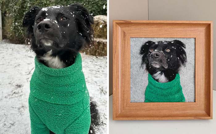 Wait, Someone Actually Turns Pets Into Woolly Mini Masterpieces!