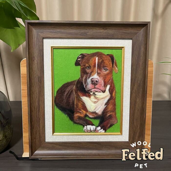Wait, Someone Actually Turns Pets Into Woolly Mini Masterpieces!