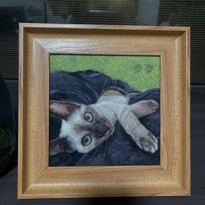 Wait, Someone Actually Turns Pets Into Woolly Mini Masterpieces!