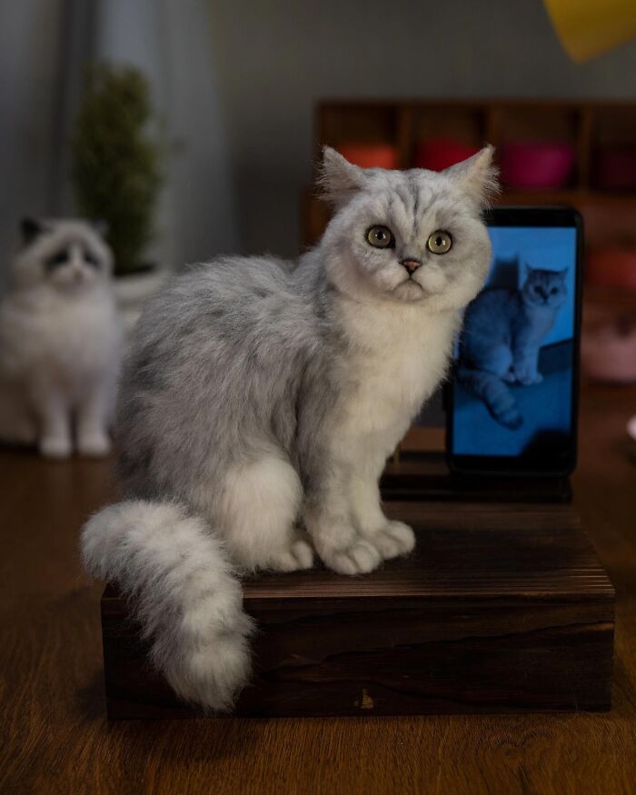 Wait, Someone Actually Turns Pets Into Woolly Mini Masterpieces!
