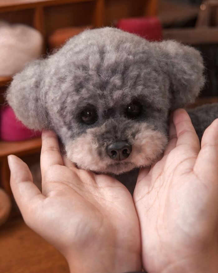 Wait, Someone Actually Turns Pets Into Woolly Mini Masterpieces!