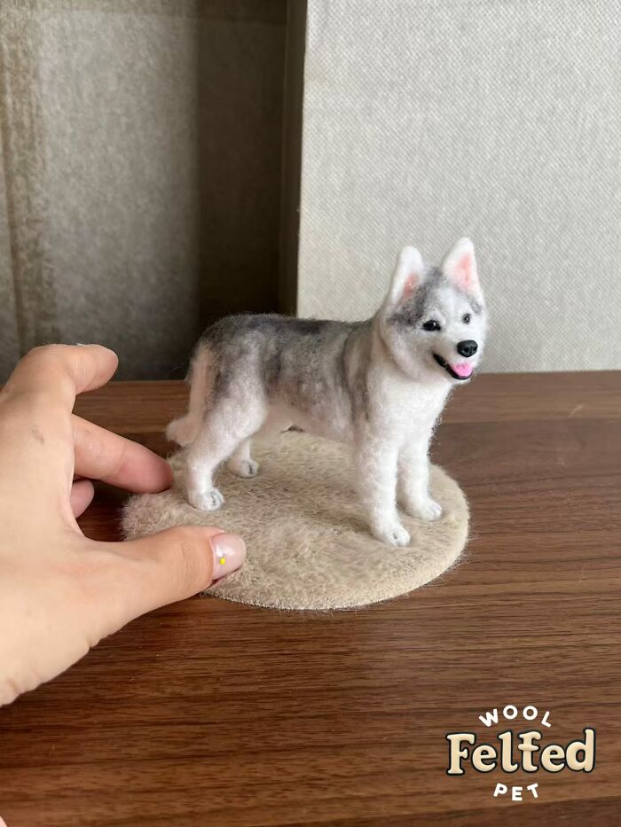 Wait, Someone Actually Turns Pets Into Woolly Mini Masterpieces!