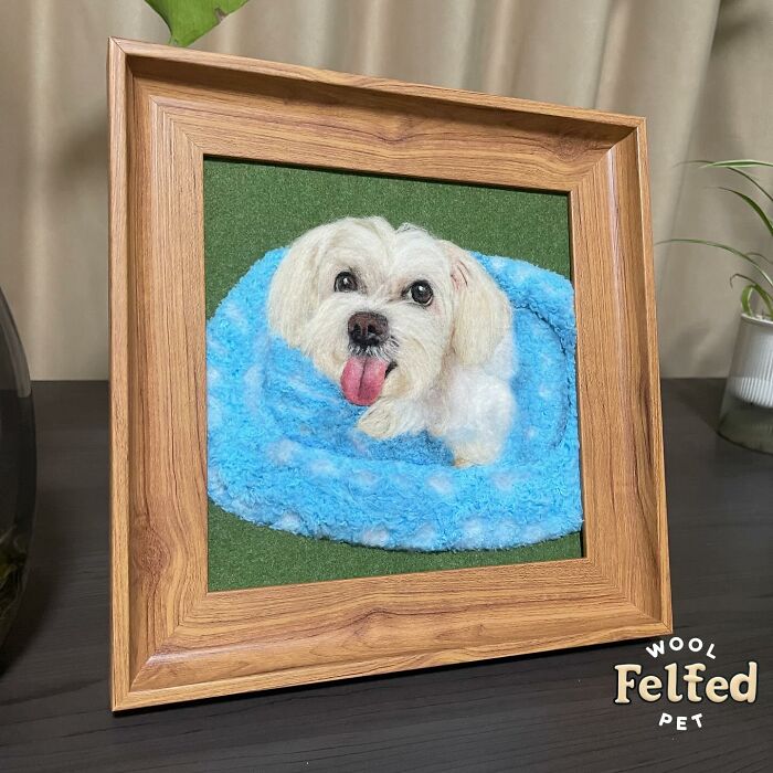 Wait, Someone Actually Turns Pets Into Woolly Mini Masterpieces!