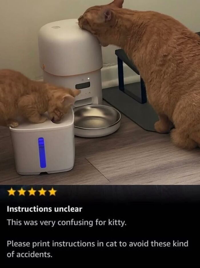 Wait Till You See These 28 Cutest Animals Doing the Funniest Things!