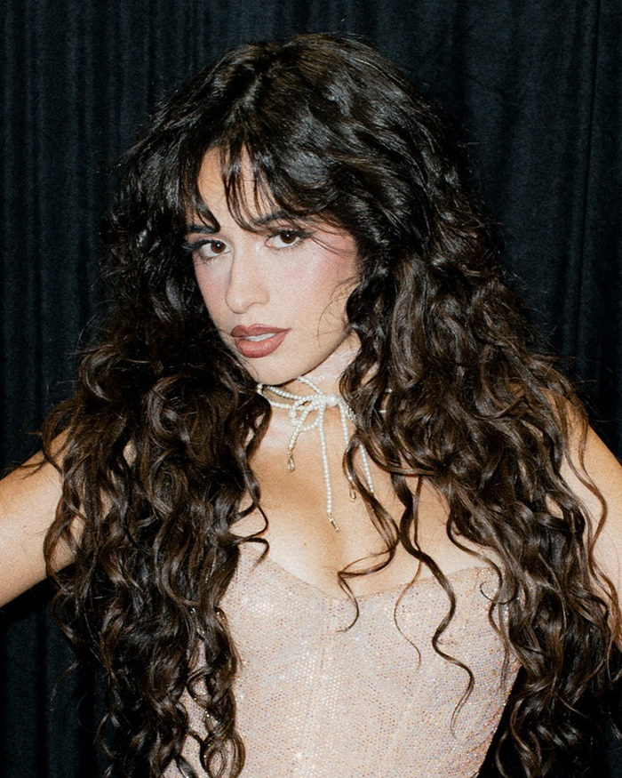 Camila Cabello’s Past Posts and Band Drama