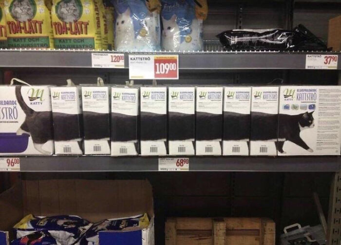 Bored Employee Level: Expert