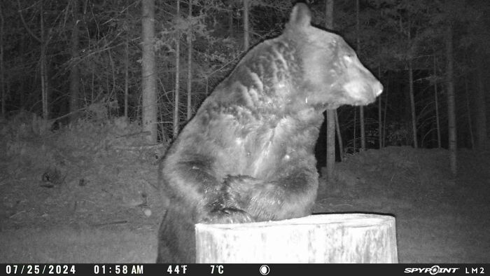 Bartender! One More Please!