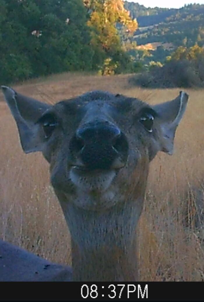 She's Not Exactly Camera-Friendly, But We Love Her Anyway