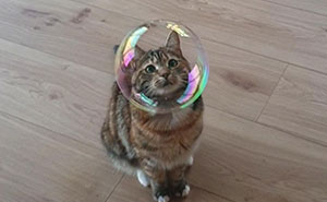 The 43 Happiest Animals You’ll Wanna Smile At Right Now