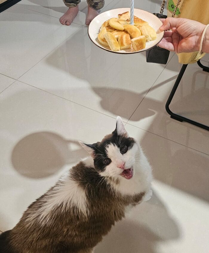 19 Years Young And Still Pancake-Obssessed
