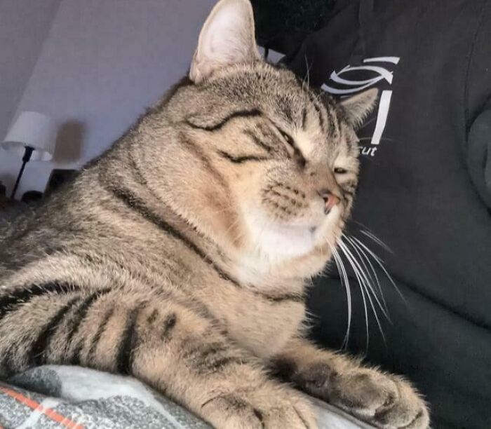 First Lap Jump In 1.5 Years!