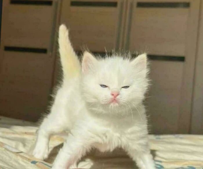 Is She Pretty? Spoiler: Yes!