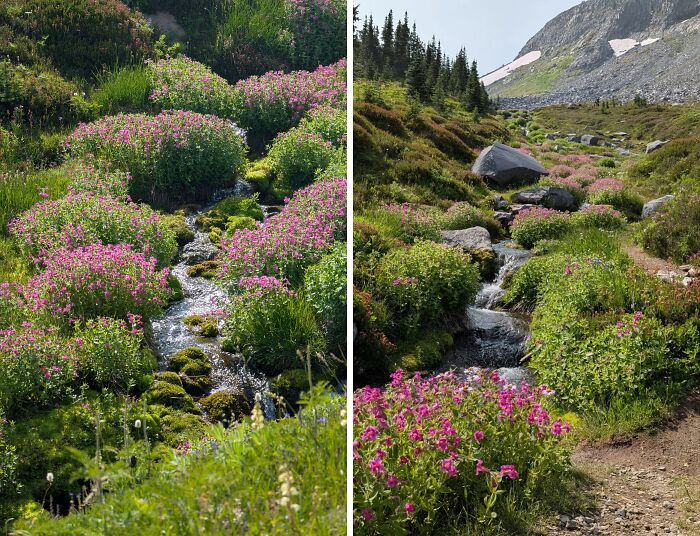 Stumbled Into Summerland, Felt Like A Hobbit!