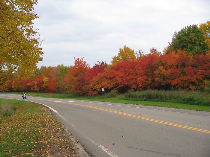 The Ultimate Autumn Ride