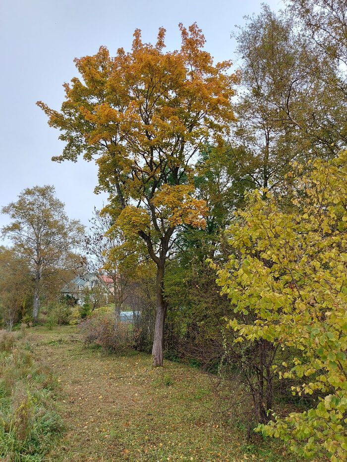 Estonia’s Autumn Magic