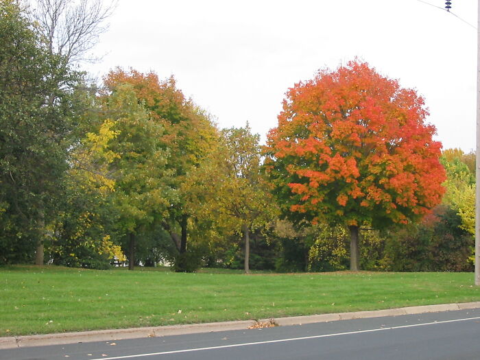 When Nature Decides To Show Off