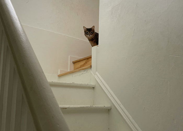 The Wildest ‘How Did They Even?’ Causes of Death You've Gotta See