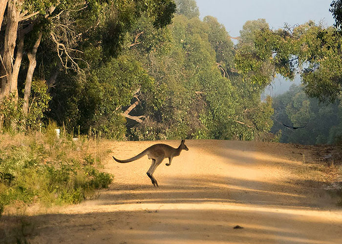 The Wildest ‘How Did They Even?’ Causes of Death You've Gotta See