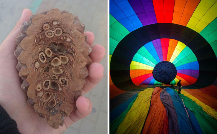 Peek Inside These Crazy Things You Never Thought About!