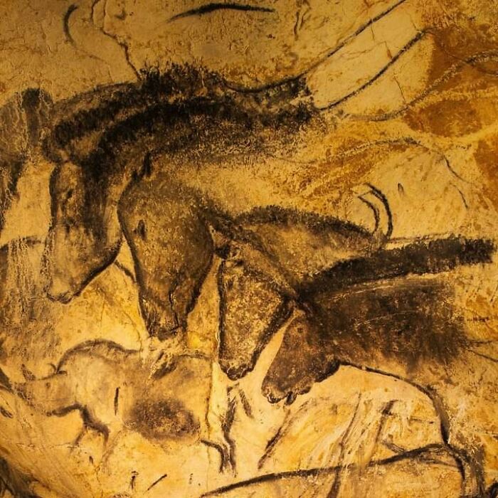 These Cave Paintings in France Are Older Than Your Grandma (Way Older)