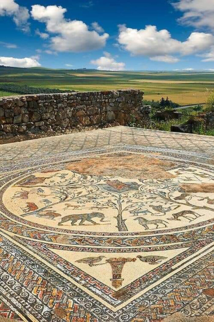 1800-Year-Old Mosaic Floor That’s Still Stunning AF (Morocco, Represent!)