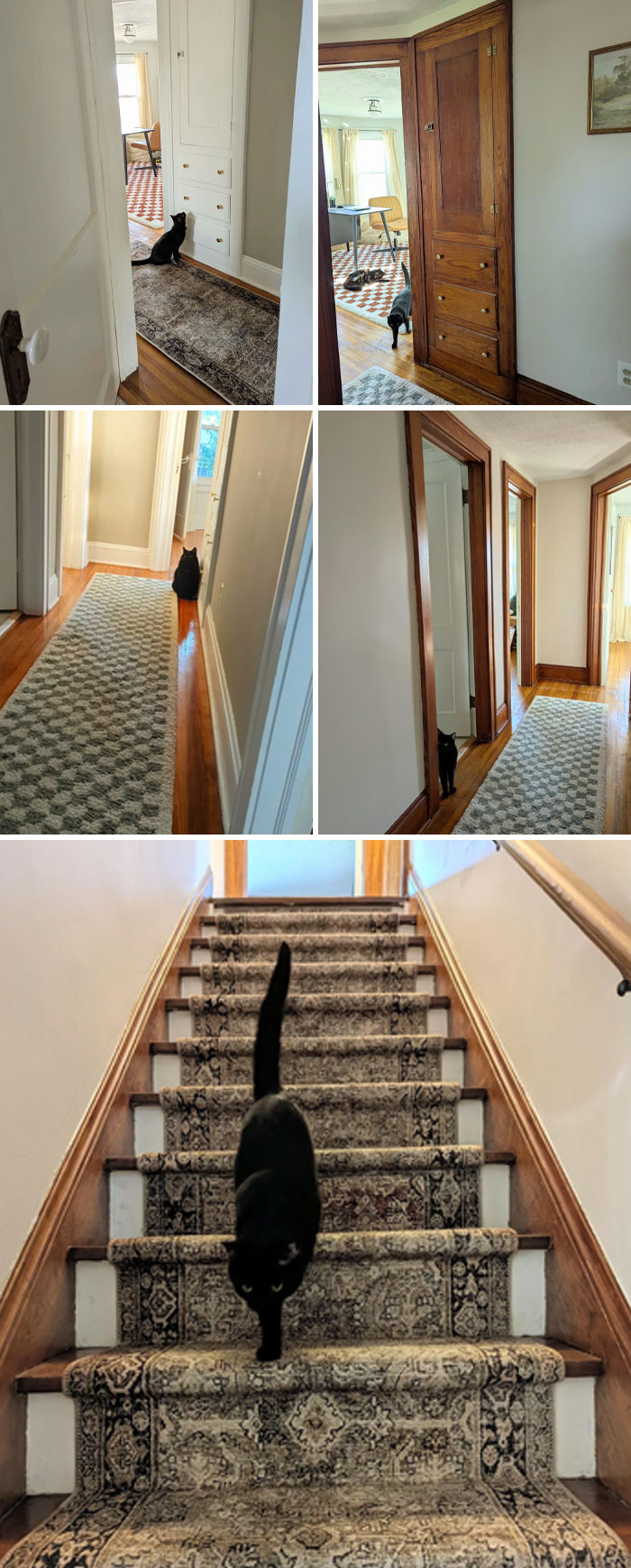 You’ve Gotta See My Stairwell Project to Believe It!