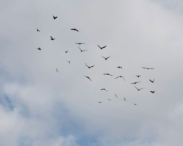 Pilots Spill Their Wildest 'OMG We Survived This' Flight Stories (Passengers Had No Clue)