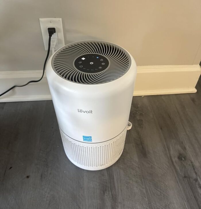 Zap That Fishy Smell With The Levoit Air Purifier