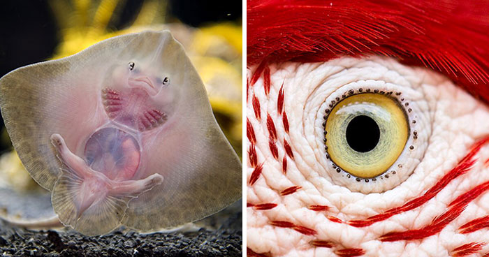 Wait Until You See These Wild Animal Pics That Totally Stole The Show!