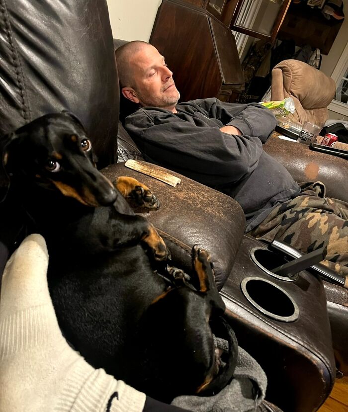 Wait, People Actually Shared Their Most Hilariously Awkward Pet Pics?!