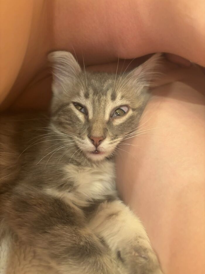 Wait, People Actually Shared Their Most Hilariously Awkward Pet Pics?!