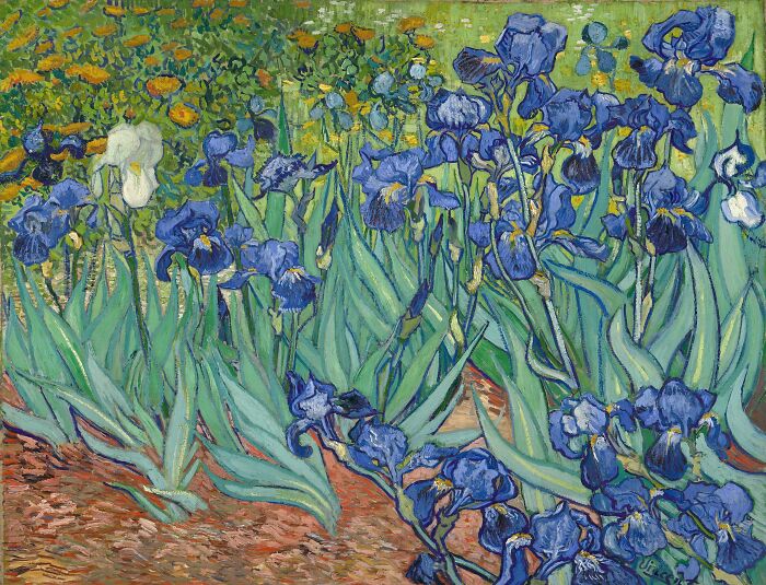 Irises (1889) by Vincent Van Gogh
