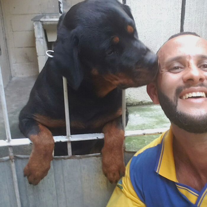Meet The Mailman Who’s BFFs With Every Dog On His Route (Yep, Really!)
