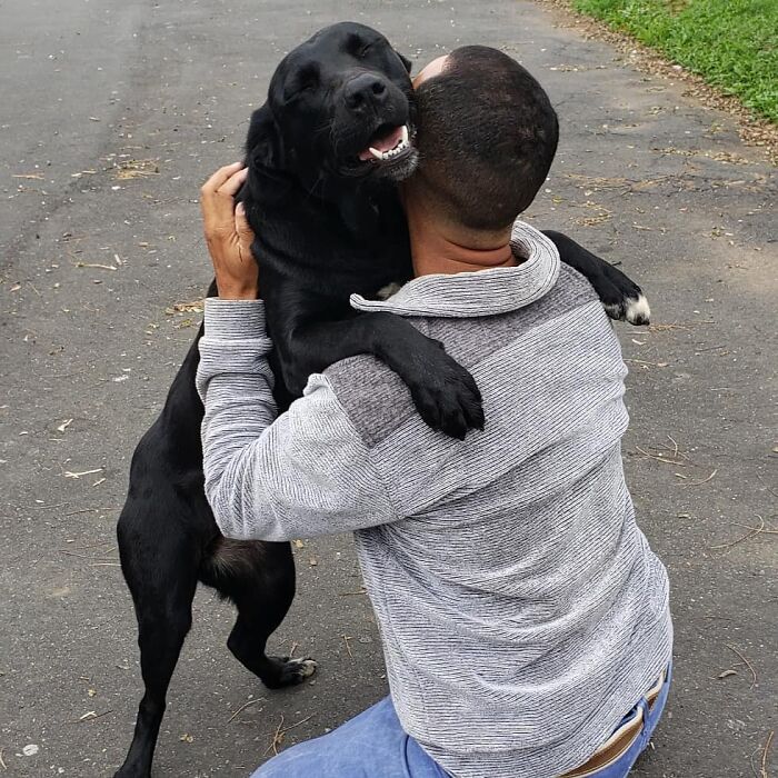 Meet The Mailman Who’s BFFs With Every Dog On His Route (Yep, Really!)