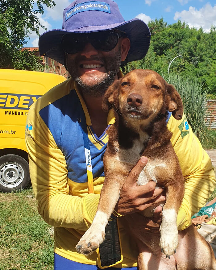 Meet The Mailman Who’s BFFs With Every Dog On His Route (Yep, Really!)