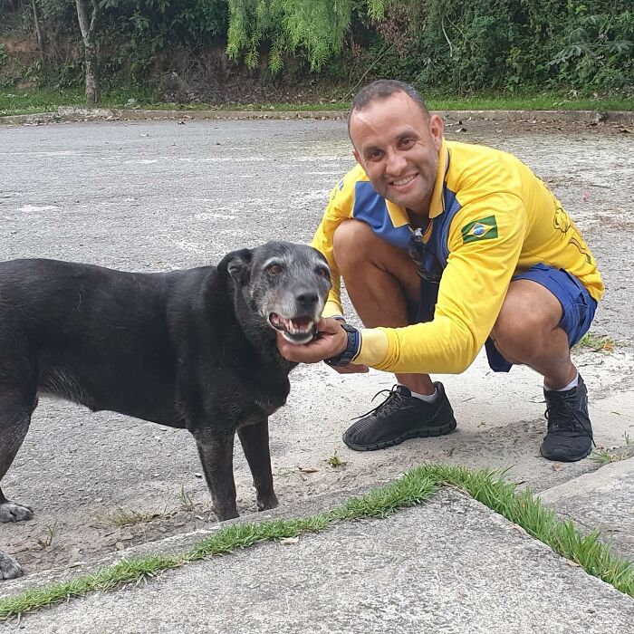 Meet The Mailman Who’s BFFs With Every Dog On His Route (Yep, Really!)
