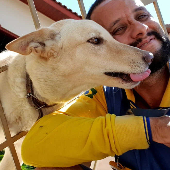 Meet The Mailman Who’s BFFs With Every Dog On His Route (Yep, Really!)