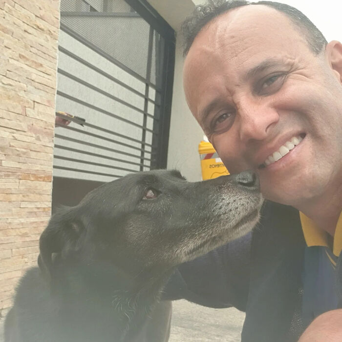 Meet The Mailman Who’s BFFs With Every Dog On His Route (Yep, Really!)
