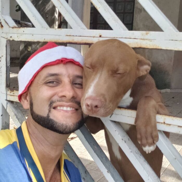 Meet The Mailman Who’s BFFs With Every Dog On His Route (Yep, Really!)