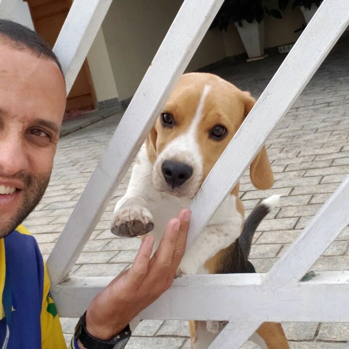 Meet The Mailman Who’s BFFs With Every Dog On His Route (Yep, Really!)