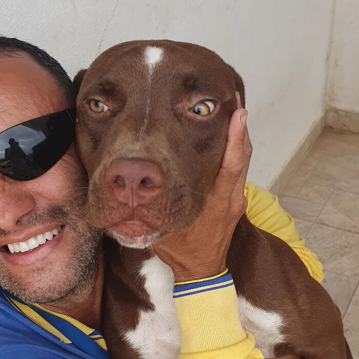 Meet The Mailman Who’s BFFs With Every Dog On His Route (Yep, Really!)