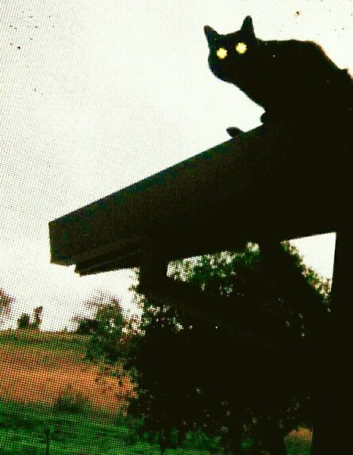 Wait, They Actually Took These Creepy Photos?!