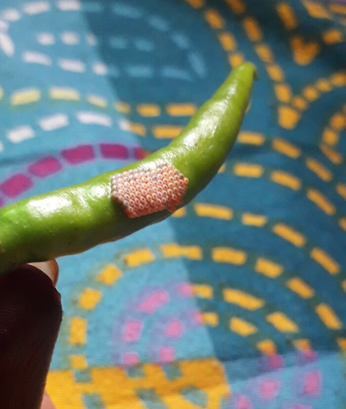 Wait, They Actually Took These Creepy Photos?!