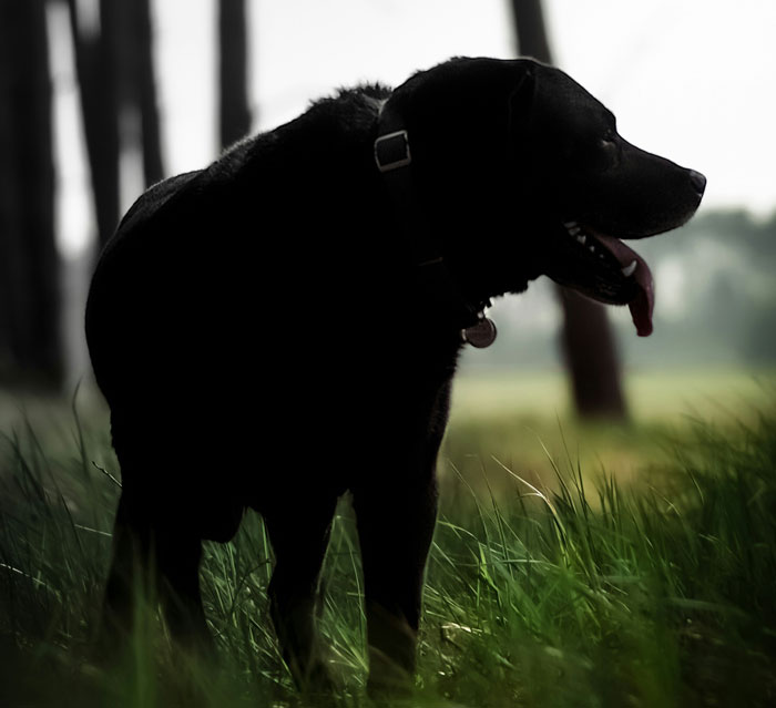 The Wildest Coincidences That’ll Have You Raising An Eyebrow